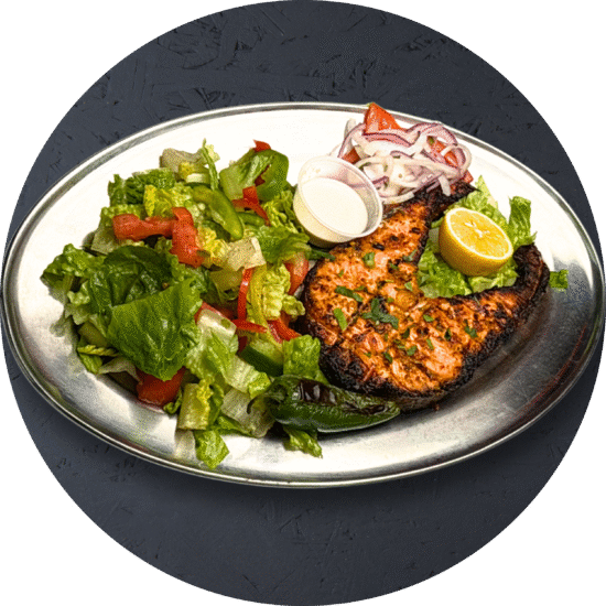 Salmon